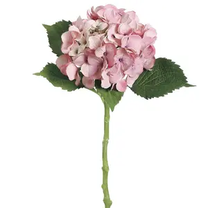 Antique Pink Hydrangea Spray 19" - Water-Resistant Stem
