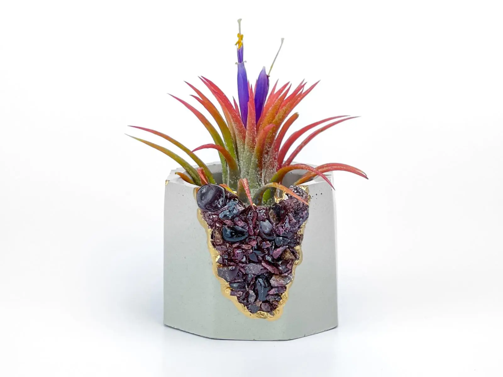 Garnet Crystal Concrete Planter | Geode Air Plant Holder