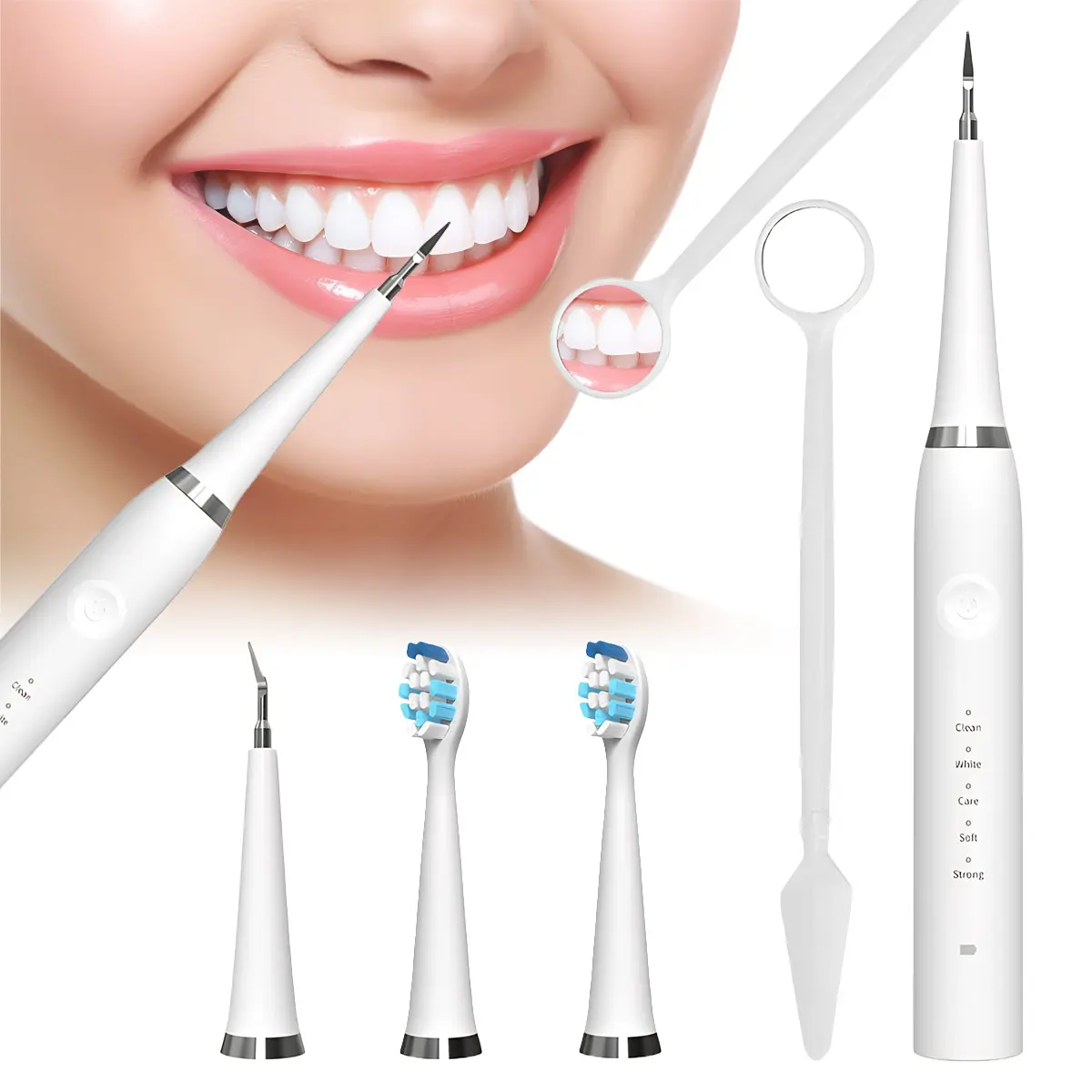 2 In 1 Tartar Remover with Electric Toothbrush Head,Toothbrush & Tooth Cleaner with 5 Modes, Waterproof, 2 Brush Heads, USB Charging-Deep Cleaning for Adults