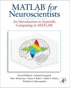 USED-MATLAB for Neuroscientists: An Introduction to Scientific Computing in MATLAB by Pascal Wallisch PhD (Hardcover)