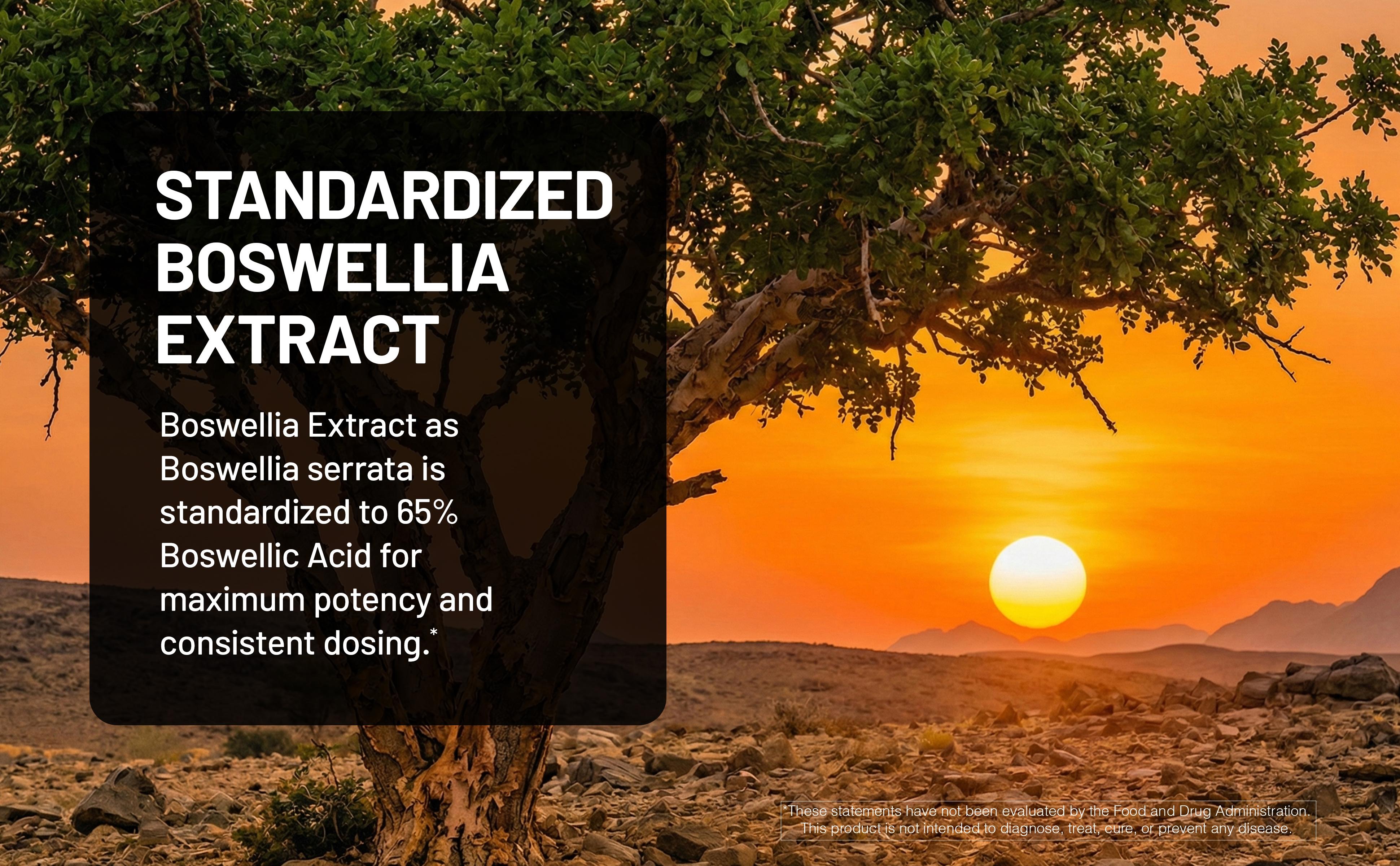 NatureWise Turmeric Boswellia Supplement with BioPerine & Organic Ginger Root - Organic Turmeric 900mg + Boswellia Extract 600mg - Non-GMO, Vegan, USA Manufactured