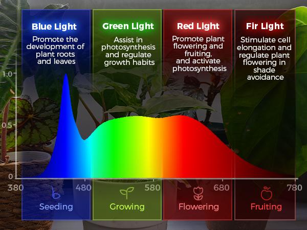 Barrina LP600 Indoor Greenhouse with Grow Light, 75W TX-S25 1.6FT 5000K, 4-Tier Plant Stand with Full Spectrum Lights, Plant Shelf with Tent, Timer & Thermometer for Seed Trays,Growth,23.6x13.8x59.1IN