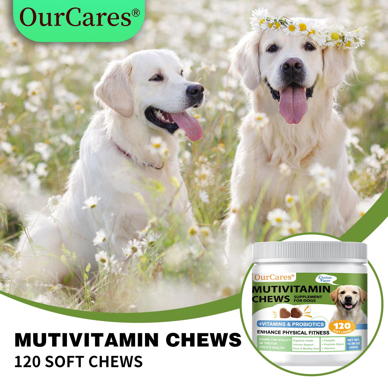 Pet Dog Vitamin Chewable Tablets