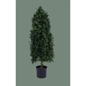 Cone Shape Boxwood Topiary 36"H