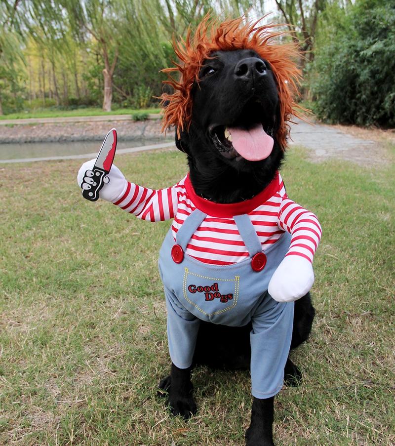 Chucky pet costume for all sized dogs