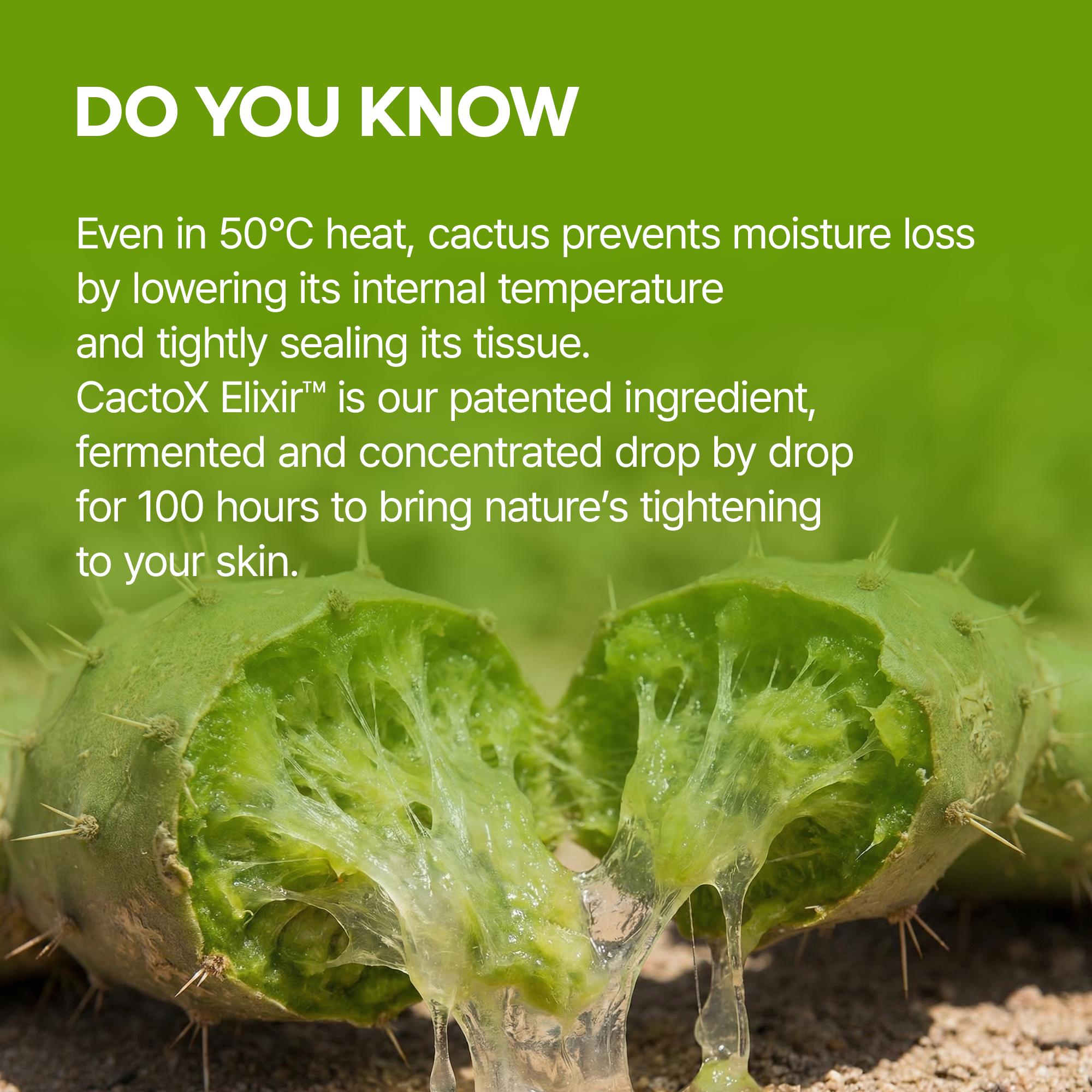 [Dr.Melaxin Official] CACTOX DE-PUFFING PORE TOX GEL MASK 4EA with Cactus Cooling Reduce Puffiness & Pore Tightening for Visible Pore Care Skin Repair