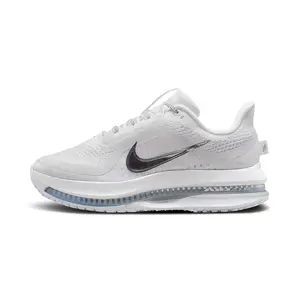Pegasus Premium WMNS "White Metallic Silver" HQ2593 102