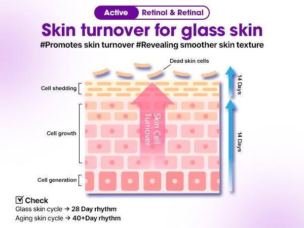 Retinol Bakuchiol Dual Cream – 1.69oz / 50ml – Collagen Moisturizer for Glass Skin with Barrier & Soothing Care – Korean Skin Care