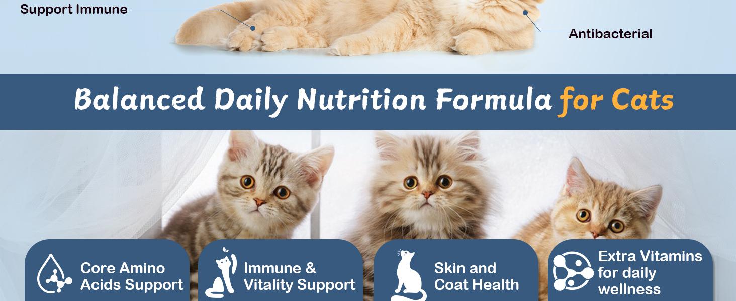 L-Lysine Supplement for Cats - Vitamins & Taurine for Immune Support & Allergy Relief - Lysine for Respiratory, Sneezing, Runny Nose, Eye Function - Natural Cat Drops - 60ML Chicken Flavor L-Lysine Supplement for Cats - Vitamins & Taurine for Immune Support & Allergy Relief - Lysine for Respiratory, Sneezing, Runny Nose, Eye Function - Natural Cat Drops - 60ML Chicken Flavor