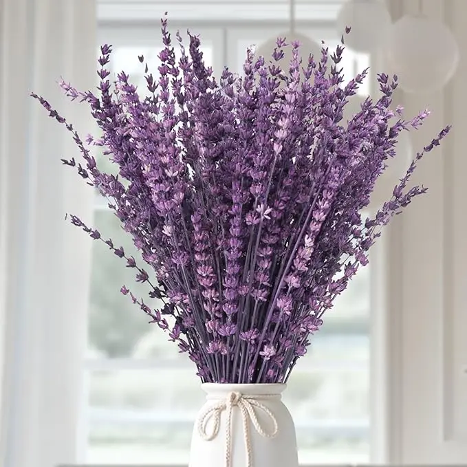 Dried Purple Lavender Flowers Bundle-Dried Preserved Lavender Bouquet 15-17" for Shower Weeding Home Vase Decor, Crafts, Aromatherapy, Fragrance