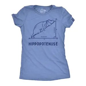 Womens Funny T Shirts Hippopotenuse Sarcastic Hippo Graphic Tee for Ladies Funny Womens T Shirts Cute Vintage Fashion Casual Ladies T-Shirt Gift  Tops for Women Funny Animal Top Women's Novelty Tees Light Blue