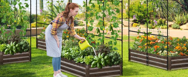 Lilypelle 3 in 1 Raised Garden Bed with Tall Arch Trellis for Climbing Plants, Galvanized Planter Box Outdoor for Gardening, Vegetables, Flower