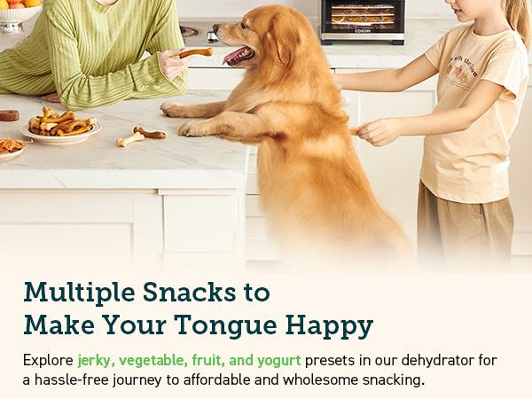 COSORI Food Dehydrator for Jerky, 480W Dehydrated Dryer, 5 Stainless Steel Trays, 48H Timer, Temperature Control, for Herbs, Meat, Fruit, and Yogurt