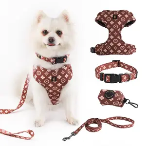 Adjustable Dog Harness, Leash, Poop Bag Holder/Dispenser and Bandana Set, No Pull, Soft Mesh Padded, for Small/Medium Dogs, Outdoor Walking/Running (Large, Chewy Pawtton)