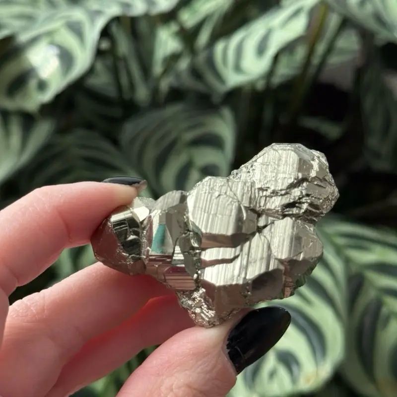 Cubic Pyrite Raw Specimen