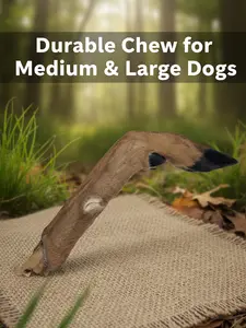 Deer Leg Dog Chew for Aggressive Chewers