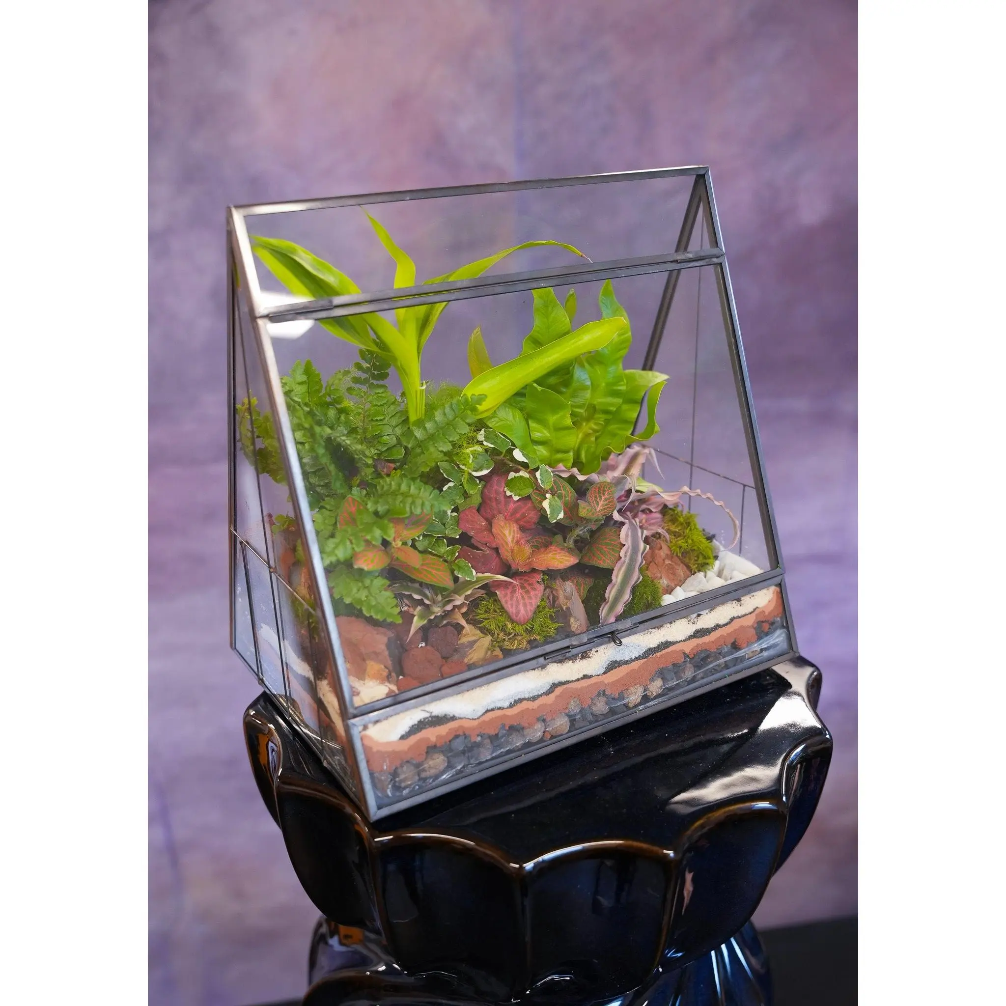 Paradise Terrarium