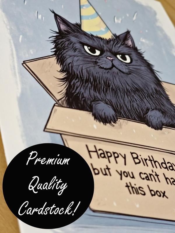 Black Cat Birthday Card for Animal Lovers Funny Birthday Card Cat Themed Gift Cute Cat Pet Greetings Cat in a Box Sarcastic Funny Cat Card