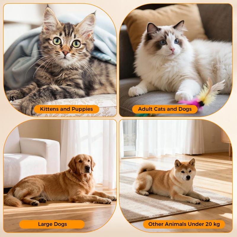 COWSAR Automatic Pet Feeder with Full HD 2MP Camera 6L Food Dispenser - 5G WiFi Smart APP Control, SD Card Slot, 10s Voice Recorder, Anti-Clog & Dual Power Supply, Detachable Easy-Clean Tank/Bowl, Timed Portion Control for Cats, Dogs, Kittens, Puppies