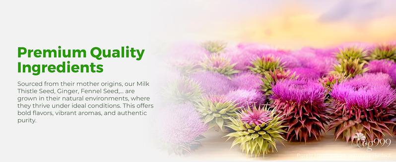 TOG999, Premium Stomach & Liver Herbal Tea – 60 Tea Bags – Milk Thistle Seed, Ginger, Fennel, Peppermint & Licorice – Caffeine-Free – Soothing & Refreshing Herbal Blend for Daily Enjoyment