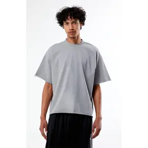 Pacsun Men's Gray Heavyweight Cropped T-Shirt