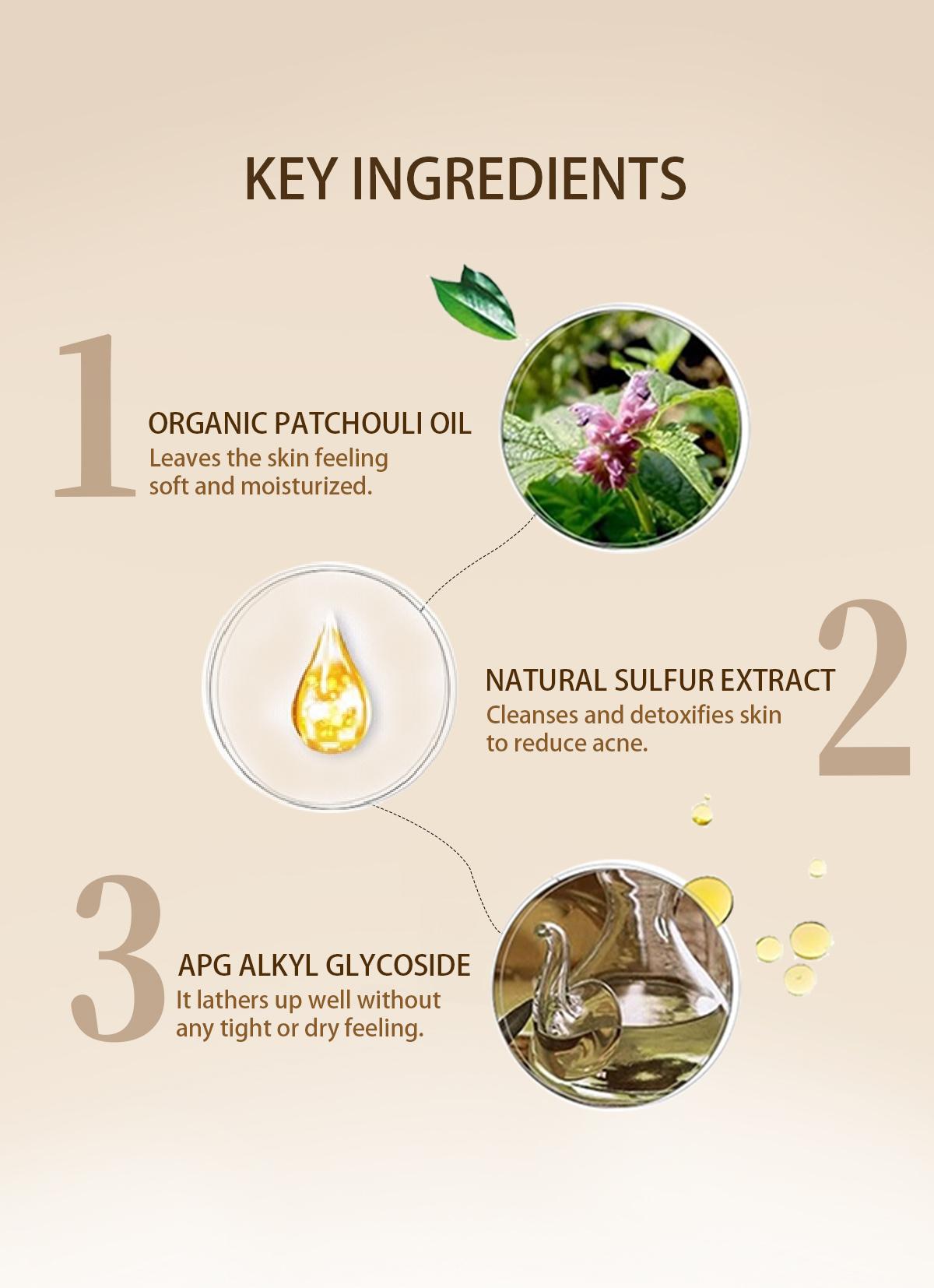 Buy 1-Get 1 Free!Tgideas All-in-One Sulfur Body Wash & Shampoo 250ml - Clear Skin, Gentle Formula, Organic Ingredients, Anti-Acne, Mite Removal, Deep Cleansing for Men & Women Cleanser Scent