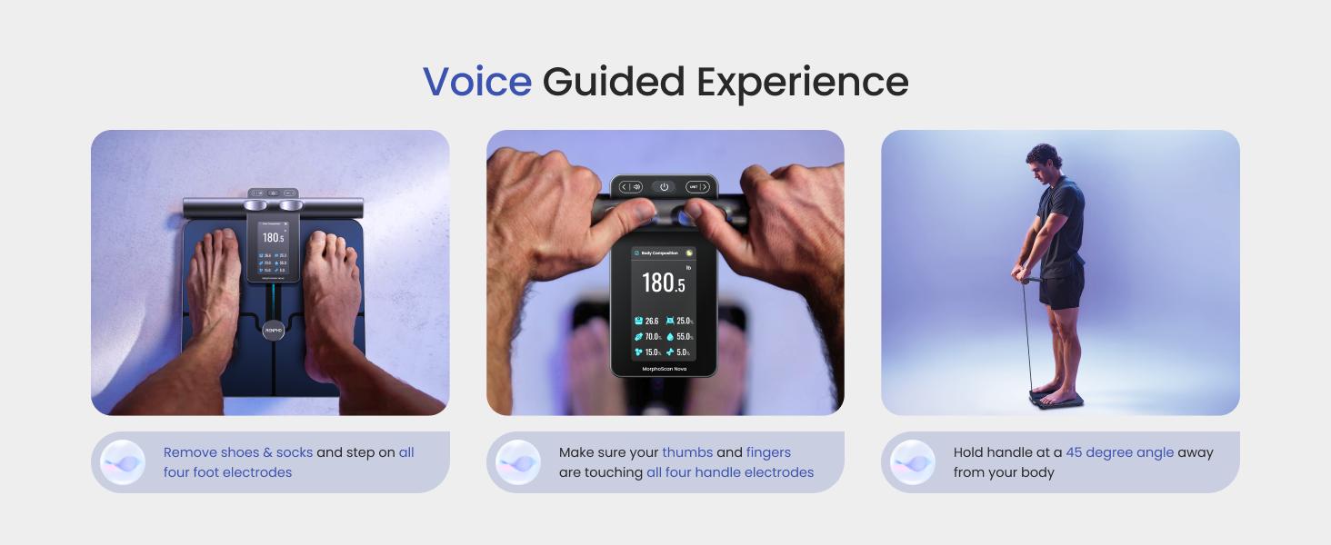 RENPHO 8 Electrode Smart Scale, Full Body Scan Segmental Body Composition Analysis with BIA Technology, Bluetooth Gym Gifts Measures Weight, BMI, Body Fat, Muscle Mass, Syncs to Free App, Full-Color TFT LCD on Handle, MorphoScan Nova, 400lbs