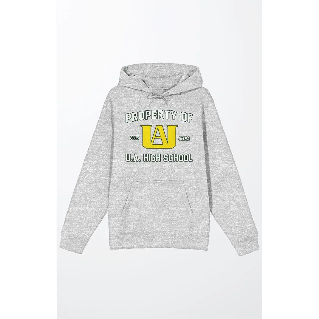 PacSun Men's My Hero Academia Property Hoodie