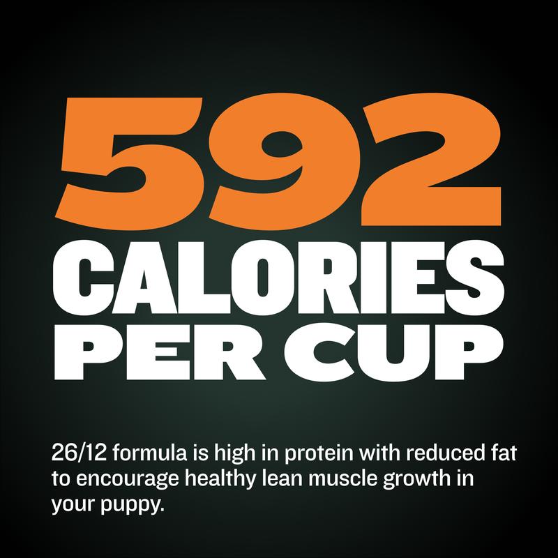 Bully Max 26/12 High Protein Wet Dog Food for Muscle Growth 592 Calories per Cup Made with Real Chicken, Barley, Oats, and Omega-3s