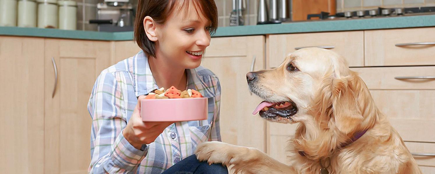 OSTBA Food Dehydrator, Dehydrator for Food and Jerky, Fruits, Herbs, Veggies, Temperature Control Electric Food Dryer Machine, 5 BPA-Free Trays Dishwasher Safe, 240W, Recipe Book Included