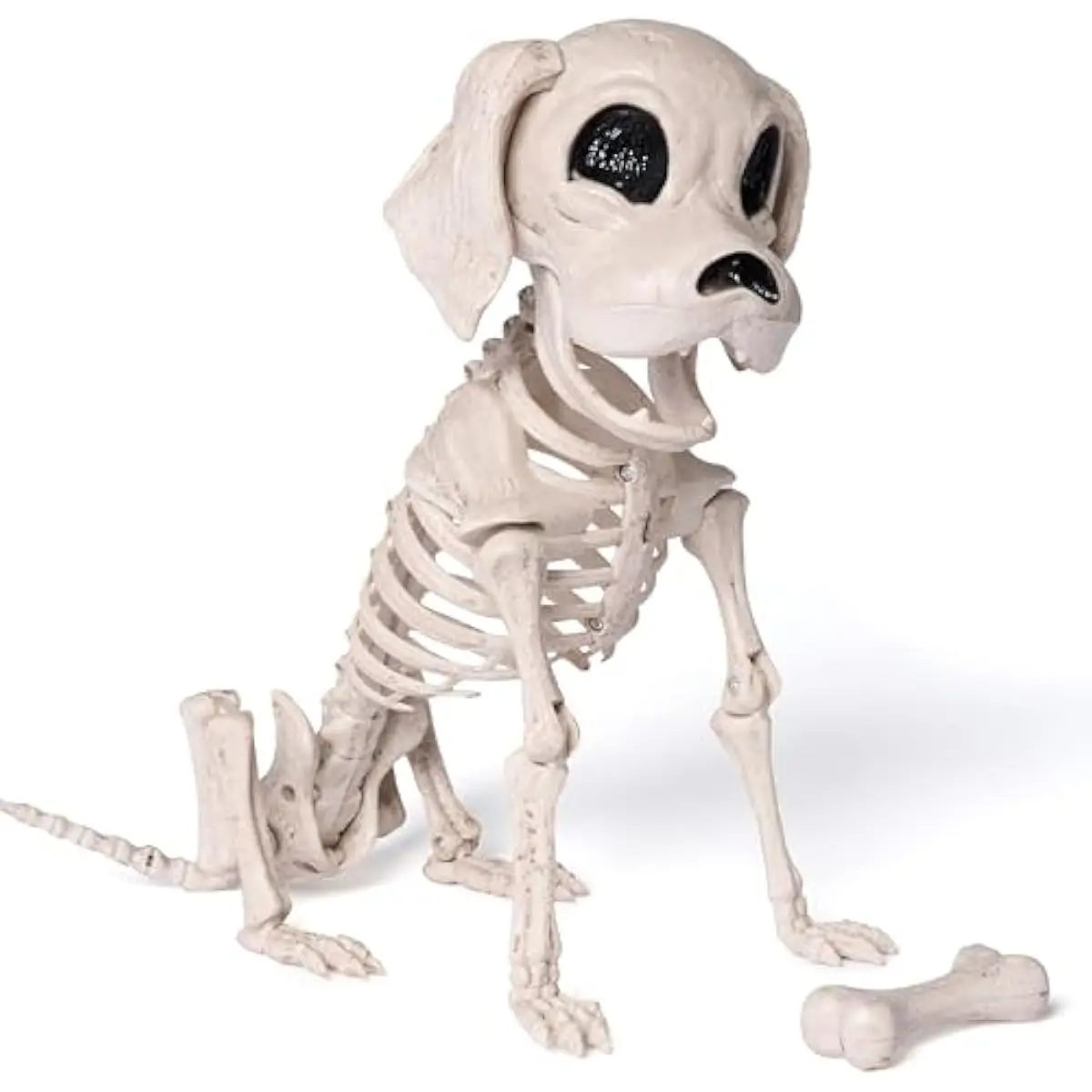 Posable Halloween Dog Skeleton Full Body Posable Joints Realistic Skeleton Puppy with Movable Joints for Halloween Decoration, Graveyard Party Decor (9.8 X 4.7 X 12.6)