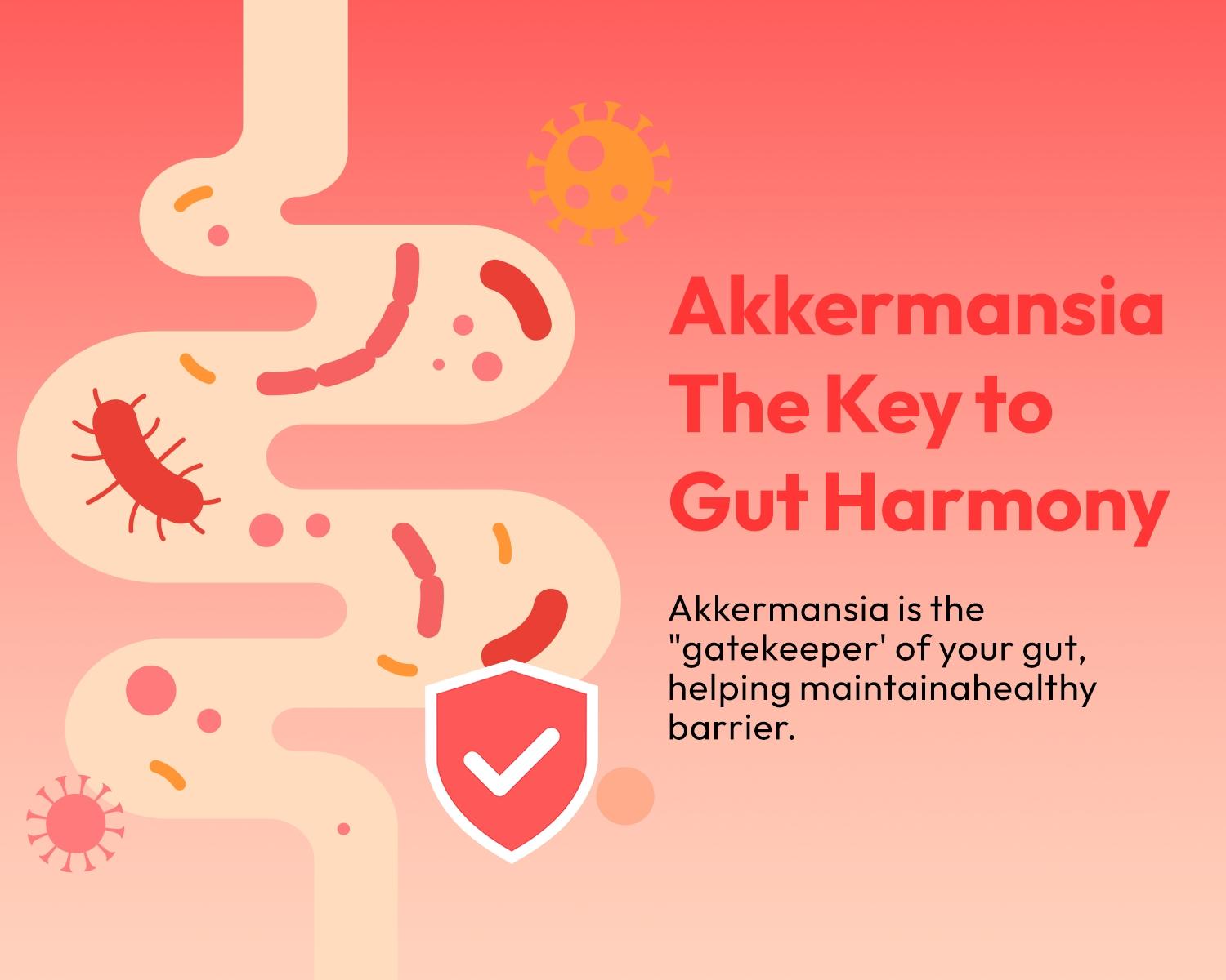 [Pro Nutrition] LOTFLY Akkermansia Plus | 20B Akkermansia 15-in-1 Complex | Supports Gut Health, Immunity & Healthy Blood Sugar