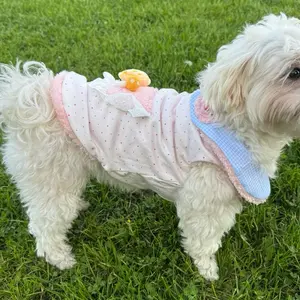 Kawaii Small Dog Fleece Vest, Pink & Blue Gingham Sweater with Lace Trim, Cute Winter Puppy Outfit