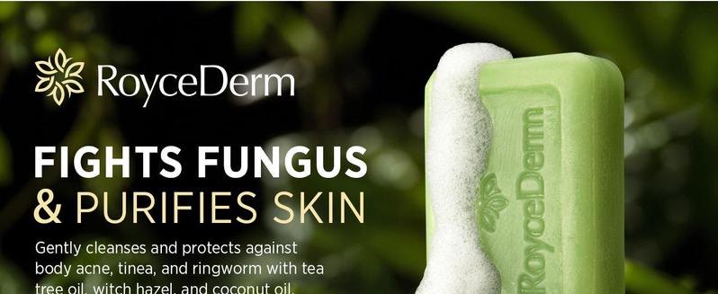 Roycederm Antifungal Antibacterial Tea Tree Soap: Antifungal Antibacterial Treatment for Face & Body Acne, Athlete's Foot, Tinea, Folliculitis Ringworm Jock Itch (Pack of 1)