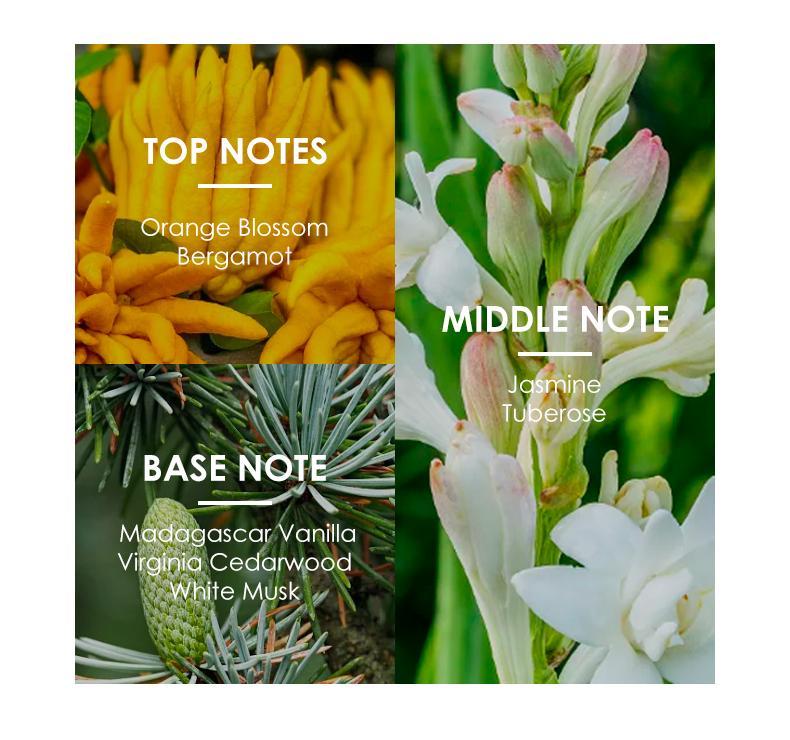 LONKOOM FORBIDDEN DARKNESS EAU DE PARFUM 50ML Long lasting fragrance for women and men Perfume Ambers Tuberose