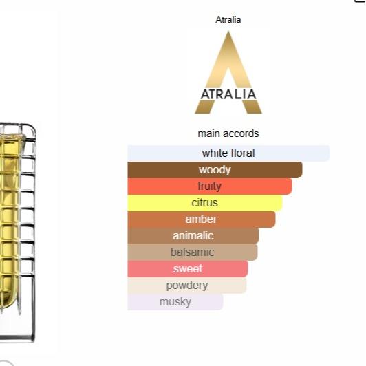 Albert Einstein Infinity Eau De Parfum Unisex Fragrance