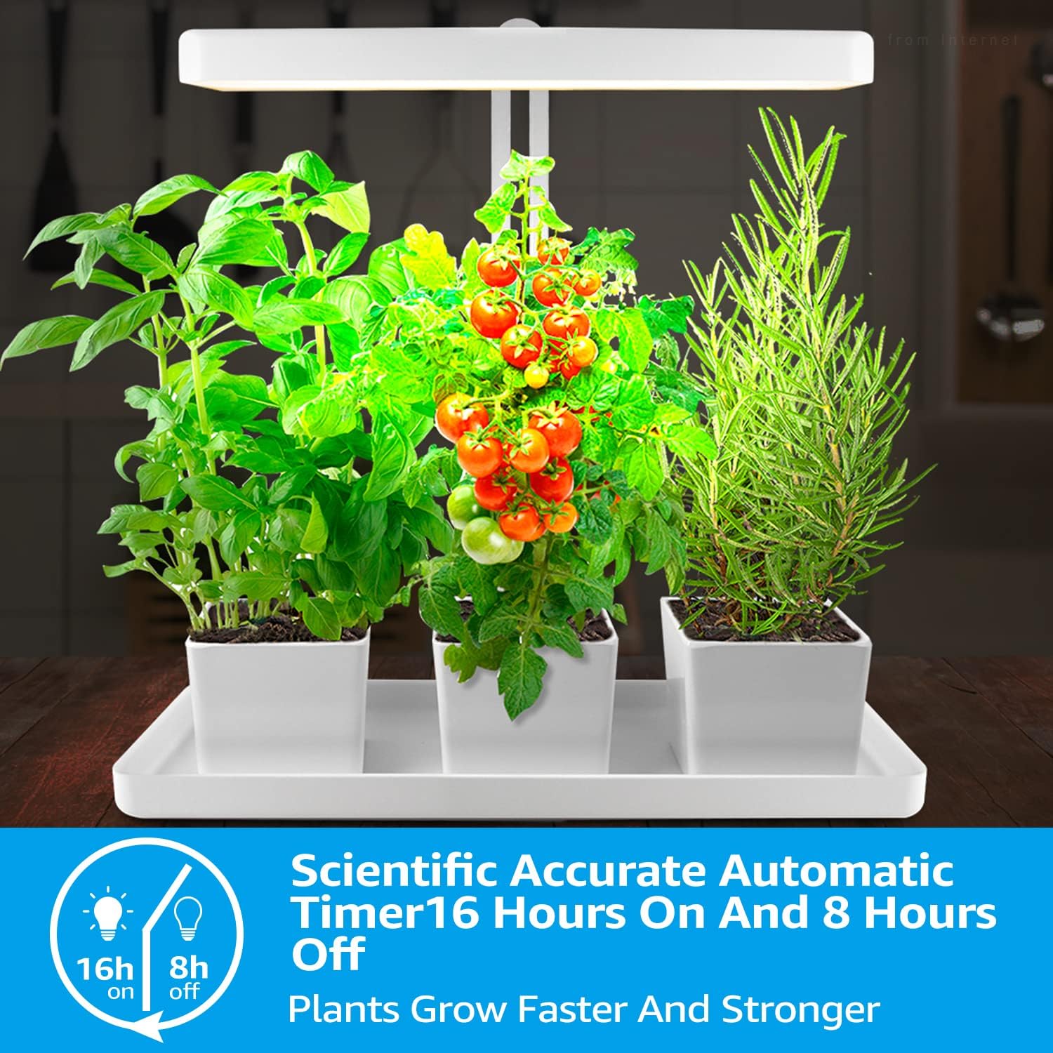 Indoor Plant LED Grow Light with Timer, Full Spectrum, Adjustable Height, Beginner Friendly