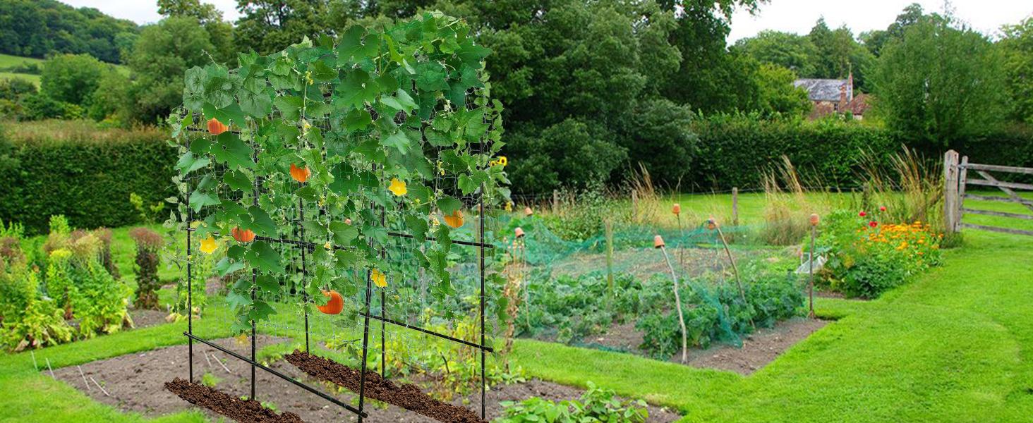 Tall Garden Arch Trellis for Climbing Plants Outdoor, 4/5/7/7.5 ft Tall Polyethylene-Coated Stainless Steel Garden Arch for Climbing Vine Vegetable/Fruit/Flower, Cucumber Trellis for Raised Bed, Black