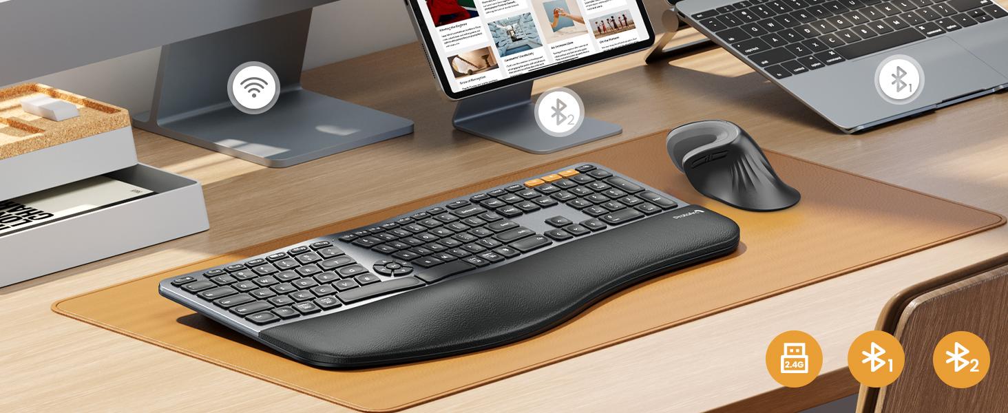 ProtoArc Backlit Bluetooth Ergonomic Keyboard, EK01 Plus Full Size Wireless Split Keyboard with Dual Bluetooth and USB, Cushioned Wrist Rest, Rechargeable, Compatible with Windows/Mac/Android