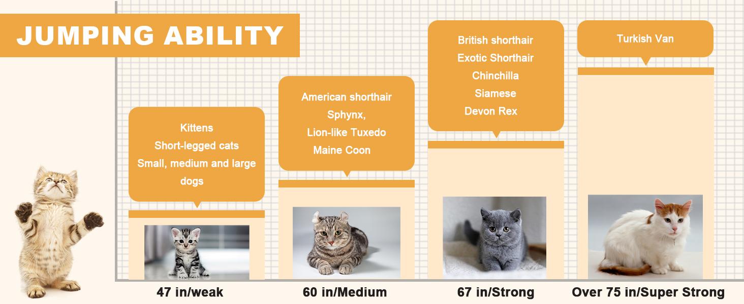 Lilypelle 74.8 Inch Extra Tall Cat Pet Gate, Adjustable 33.4-35.8 Inch Wide, No Drilling Pressure Mounted, Walk Through Swing Safety Gate for Pets, Double Door for Doorways, Stairs, Kitchen, House Lilypelle 74.8 Inch Extra Tall Cat Pet Gate, Adjustable 33.4-35.8 Inch Wide, No Drilling Pressure Mounted, Walk Through Swing Safety Gate for Pets, Double Door for Doorways, Stairs, Kitchen, House