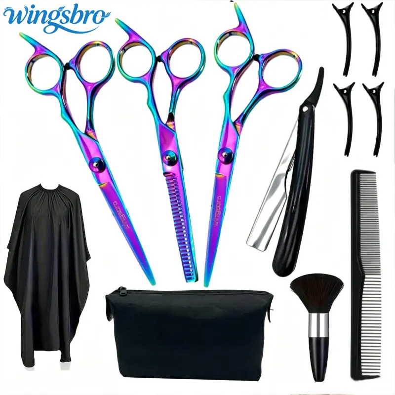 Hairdressing Scissors Kit, 6.7 inches Proefessional Haircutting Shears with Accessories for Salon Barber and Home Use