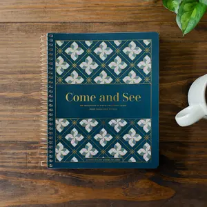 Come and See | Bible Study on John