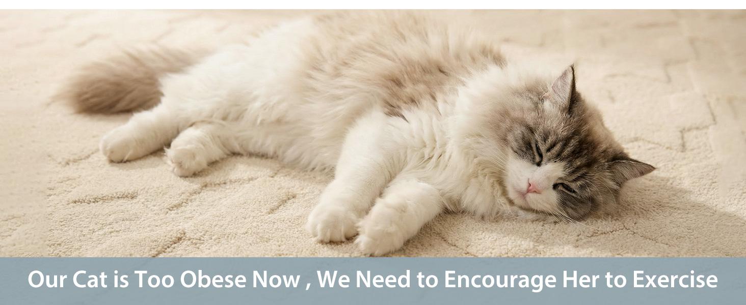 48" Cat Wheels for Indoor Cats, Quiet & Stable Cat Exercise Running Wheel, Cats Treadmill with Anti-Slip Mat