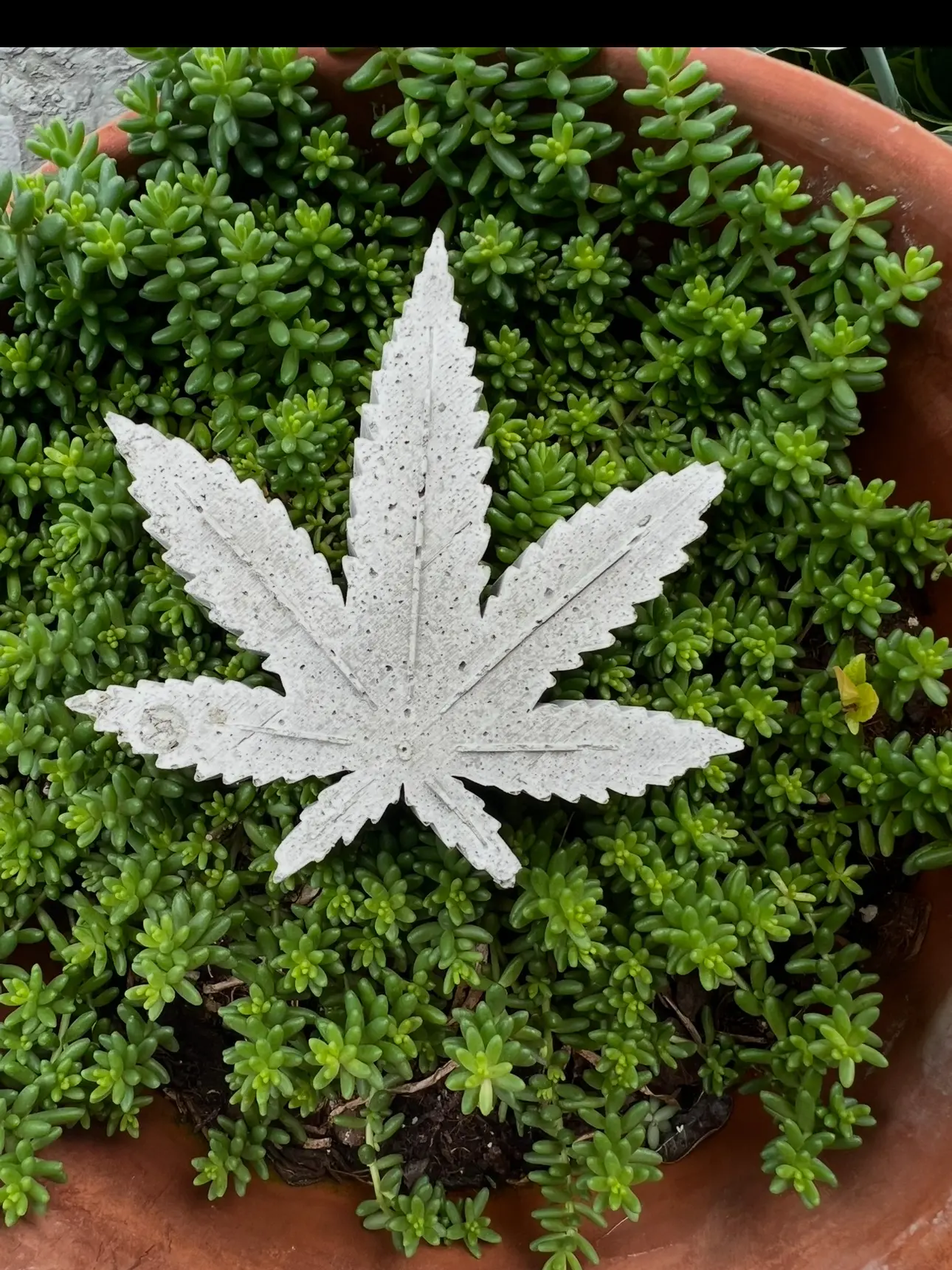 Weed Garden Art