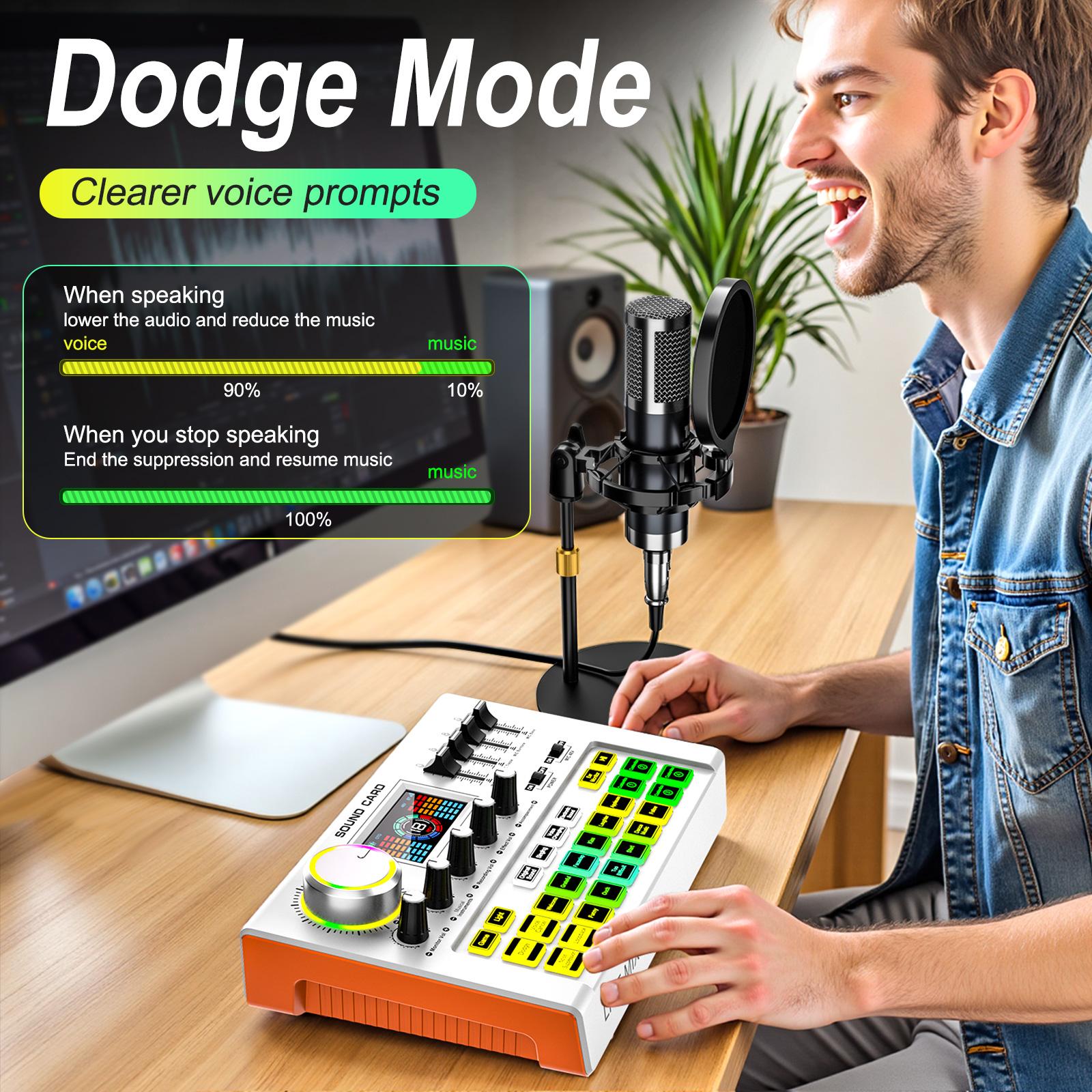 Y300 Audio mixer Podcast Equipment Bundle, Audio Interface with Cardioid Designer P15 Mic for Gamer and All-in-One DJ Mixer, Perfect for Live Streaming, Singing, YouTube, Gaming