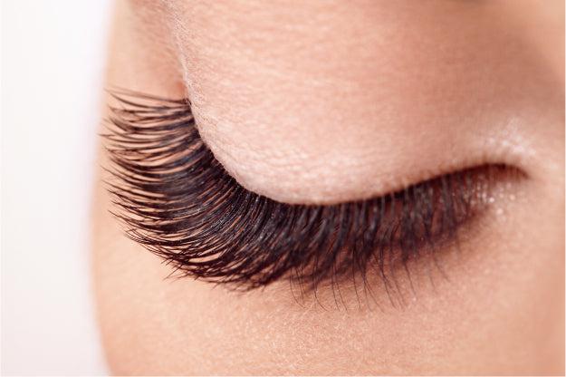 KISS 'Color The World' Pride False Eyelashes - Live Proud