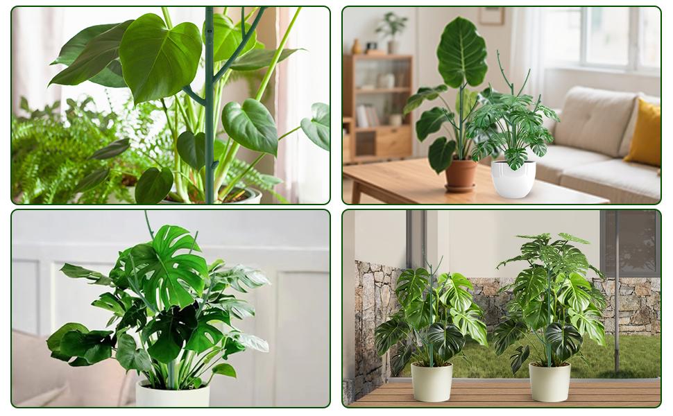 Stackable Monstera Plant Support: Garden Stakes for Climbing Plants Stem Support – Durable Plant Accessories for Indoor Outdoor Potted Plants, Pothos, Vine, Flower