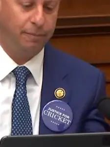 Justice For Cricket Pin Button, Support Animal Protection Pin Button, Dog Lover Gift