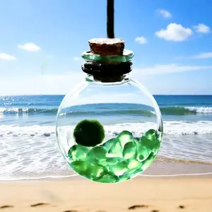 Verdant Green Live Marimo Pendant - A Self-Sustaining Aquarium Pet Decor & Portable Moss Ball Habitat (Includes LIVELY Moss Ball Pet)