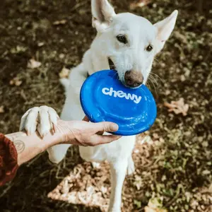 AutoFeed Pro Smart Pet Feeder - Automatic Cat & Dog Food Dispenser with Timer, WiFi App Control, Portion Control